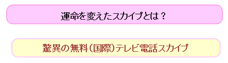 �����s�r���Ł@�^����ς����X�J�C�v�Ƃ́H