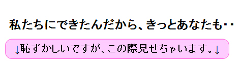 結婚できない男のskype：私達にできた